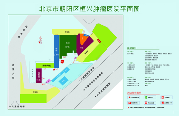 黄色屄逼片北京市朝阳区桓兴肿瘤医院平面图